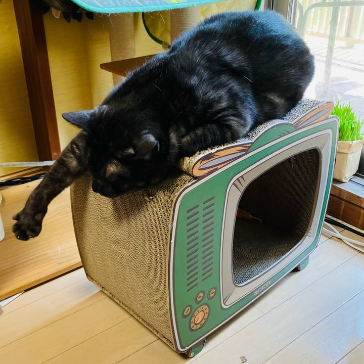 F22f4abd 96f3 434b bd64 6758087ffd8a 1755827179013