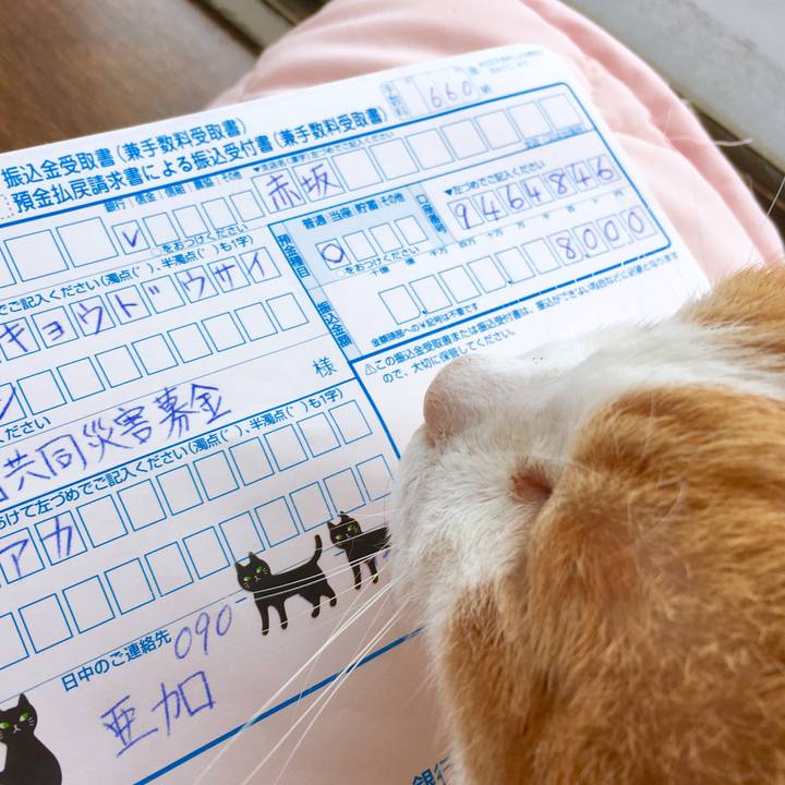 F22f5b2a 4776 4e29 84ad 1c7884c1f98b 1570182499866