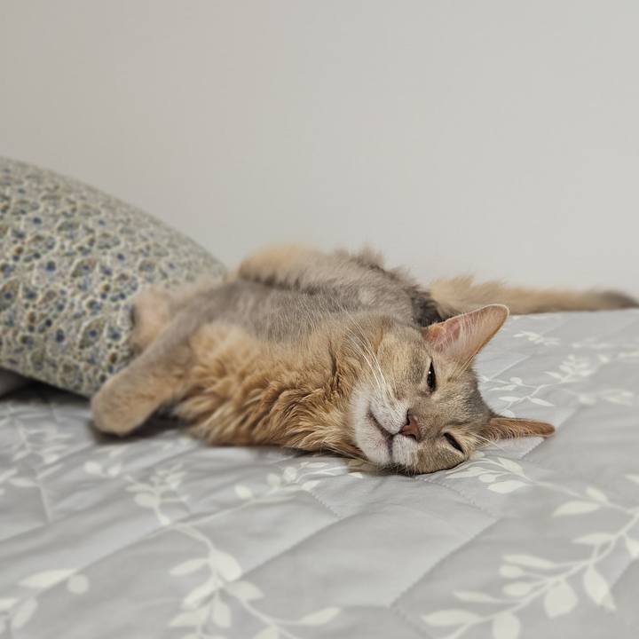 F22f8e1b 64ea 4594 bb34 a0e3127489f9 1760164000416