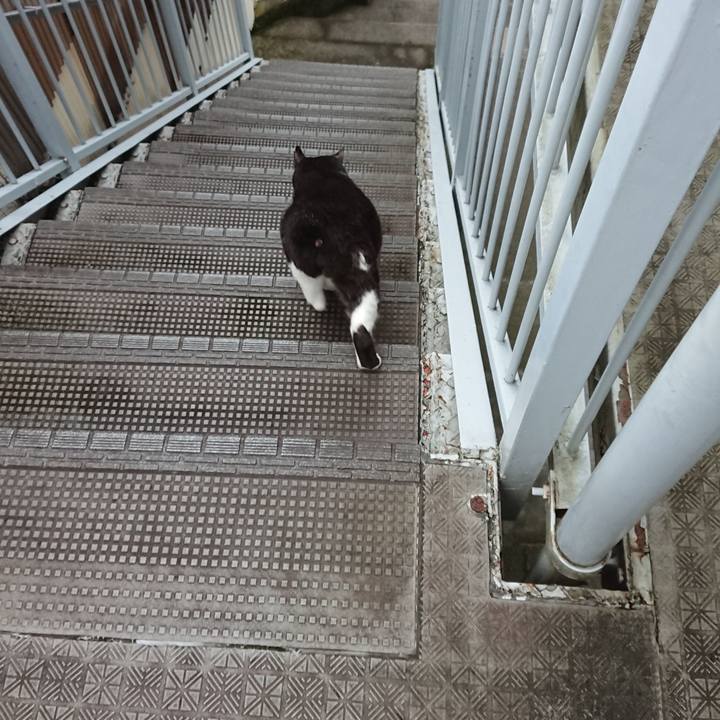 F22fa925 e426 4a45 90e4 61ff6863b021 1595980550487