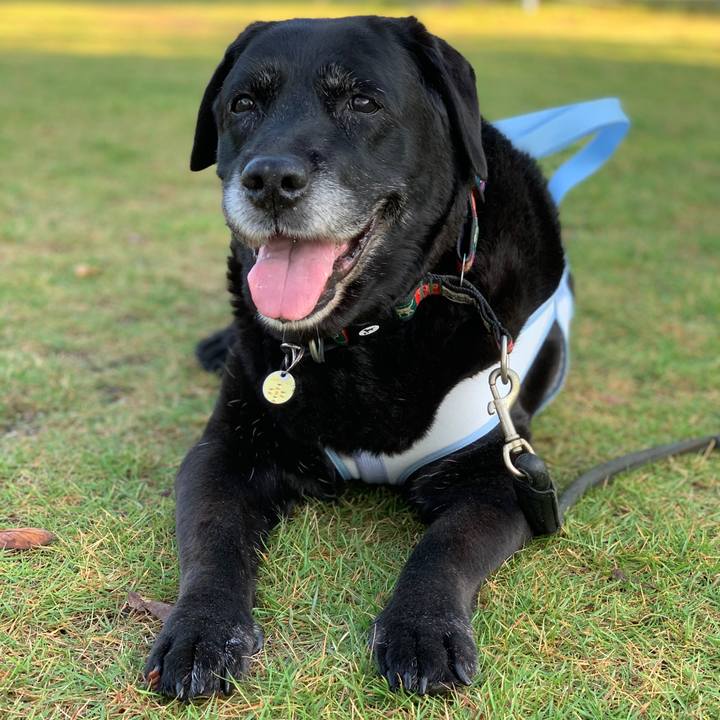 F22fcb76 52b6 41a2 8486 17a4fd2713b5 1602372091838