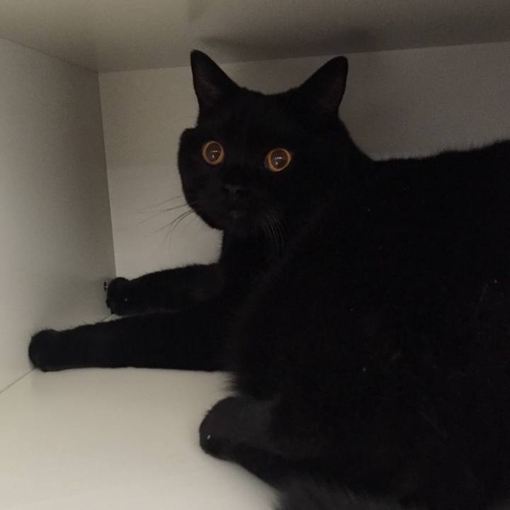 F22fe303 fa43 493a 8fe8 8ebc1c40191d 1528772259941