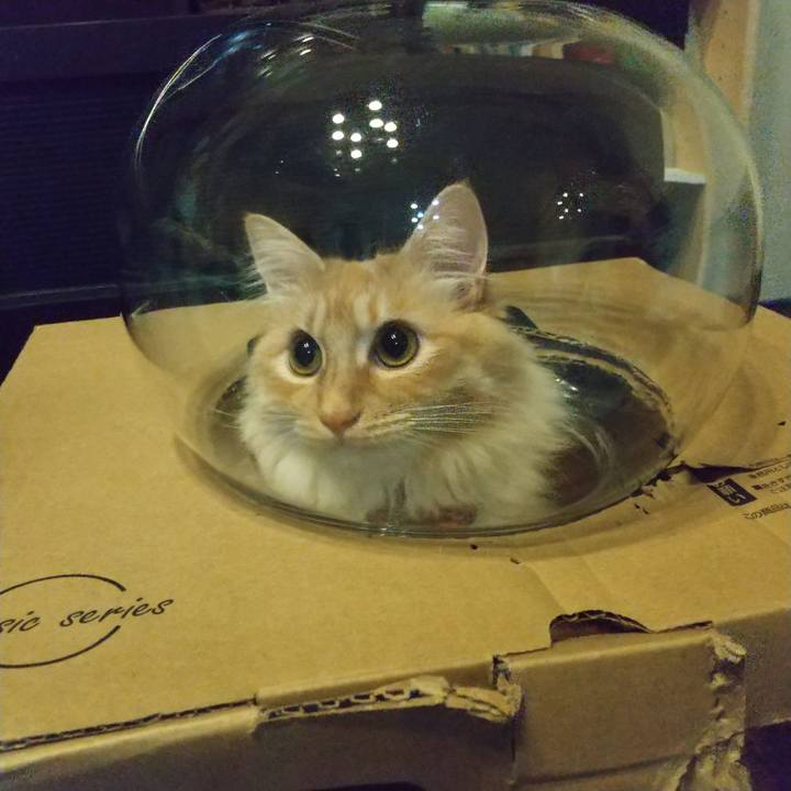 F22fe837 f5d4 4d04 b89e 7de4d1e838c6 1648255035071