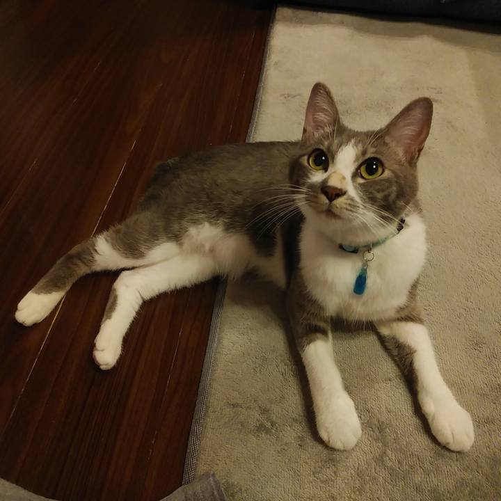 F2300882 6727 40cf bad6 90a9679d8532 1593263239662