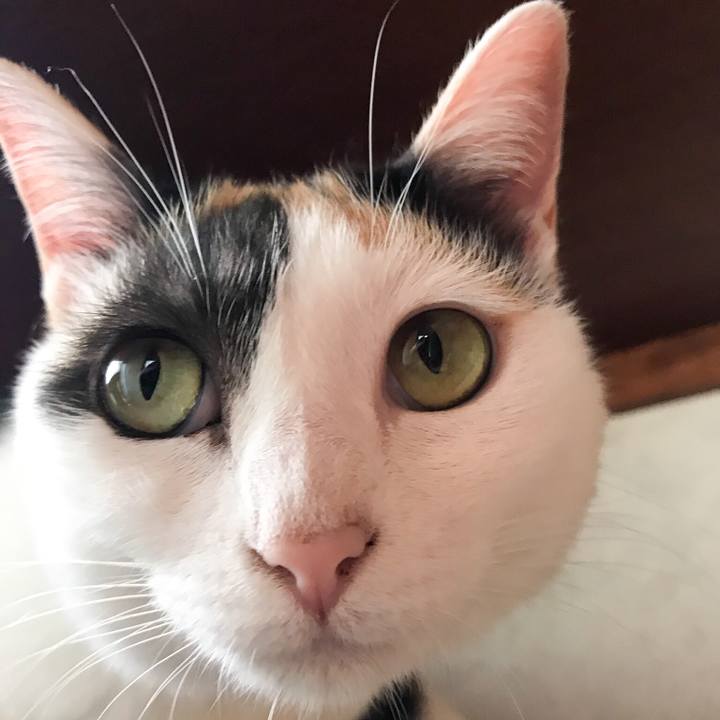 F2300a50 f2a4 42e3 841b 5396f18e30a2 1530024095148