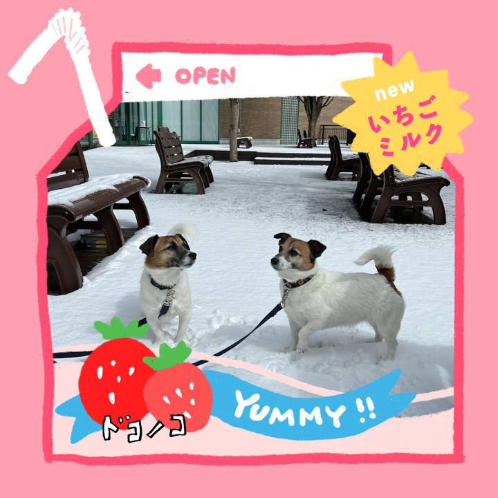 F23078f0 a5c5 4946 90ca a6768a7b4019 1711014111286