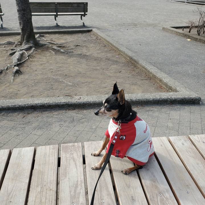 F2307ff7 a226 4997 a889 8007f748f36f 1675768804097