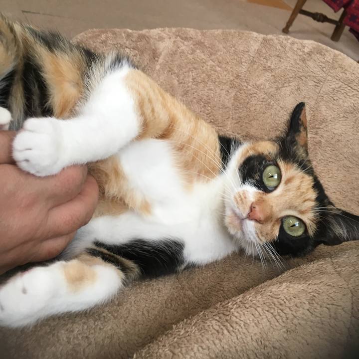 F230994a ebaf 4584 8045 cbf320c0e68d 1517141287156