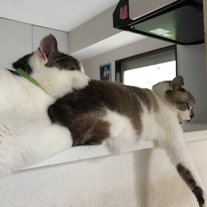 F230c354 2c17 4693 b3f6 a82ea906d797 1533690115591