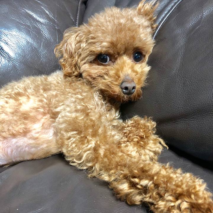 F230cbe7 1d78 43ea 9fe1 8918dac6e79e 1556891334733