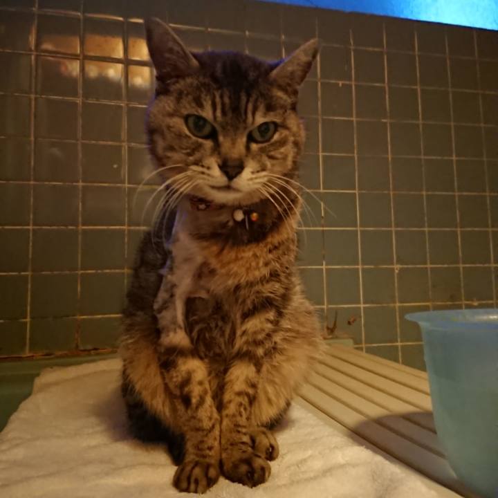 F230d52c 5208 4136 b7f7 14cce4f87bd1 1590228725759