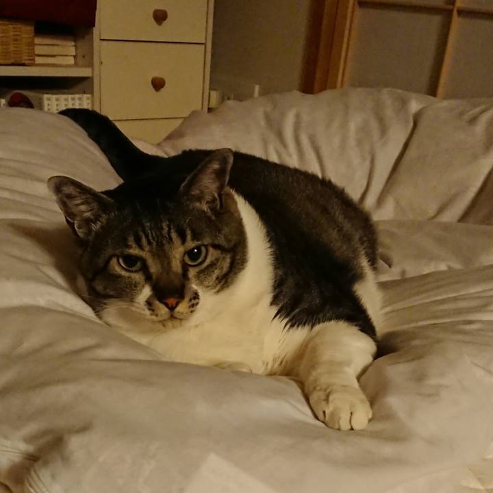 F230e9df 8d1d 4838 95d0 7d0e716789c6 1555937461444