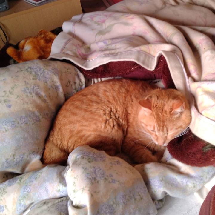 F230fc6d 89d3 40a0 9c6f 428d77fa87cd 1715638109768