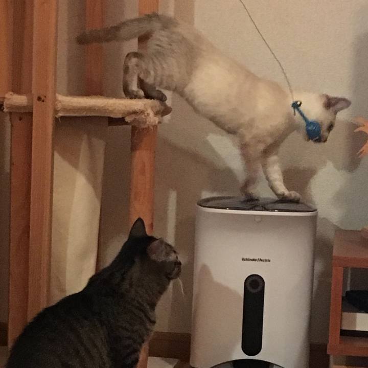 F231264e 6a68 4e33 b657 5c3aaa369b87 1536841251897