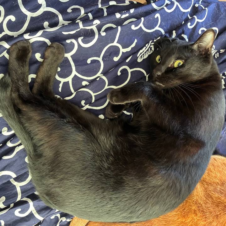 F2313318 30d8 4f7c 8aa9 ddd7daffbd8a 1757112667812