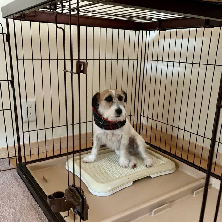 F23143f8 b2bf 491d 8c75 0477386568db 1677148604003