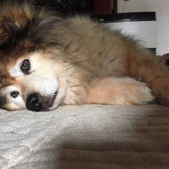 F231491c f091 4a5e a26e d4e5adeecb48 1607906132746