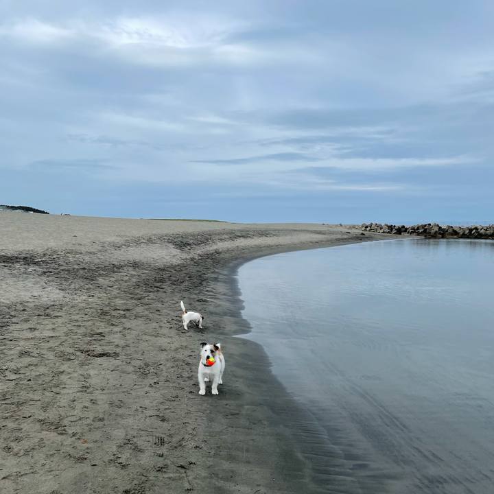 F2314db1 f78e 485c 8255 4148edb2e03c 1621122584712