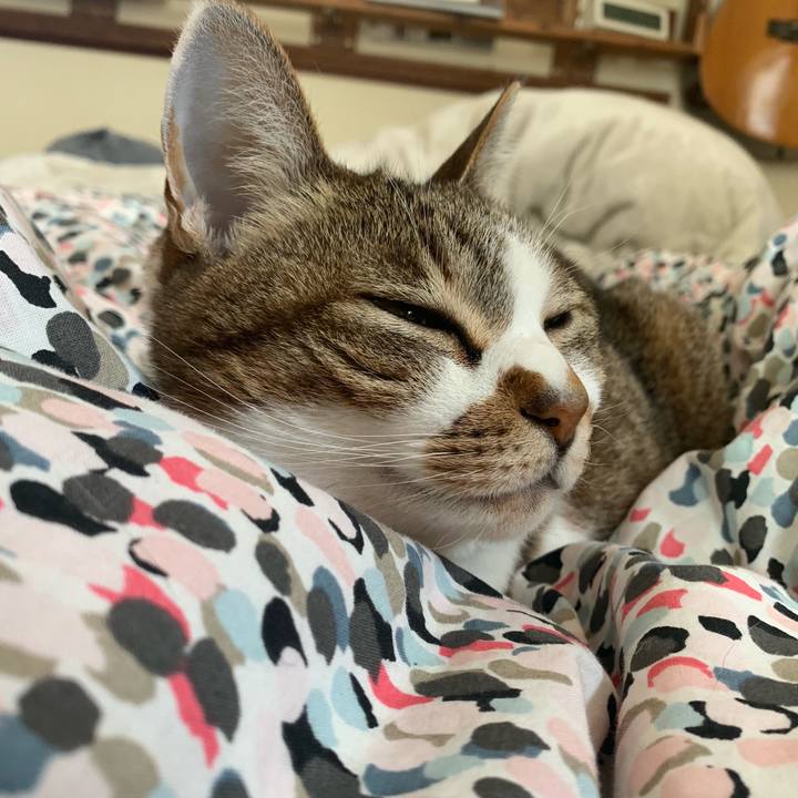 F2316cf6 46c2 4635 972a 394738a40ee8 1587954994278