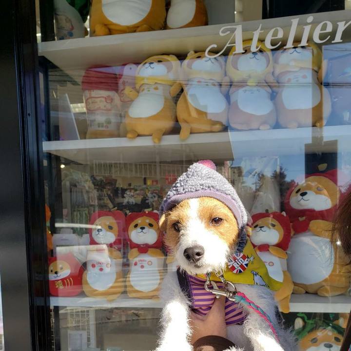 F231ef73 9b90 4249 a9fb 5fcb6b538642 1573282634579