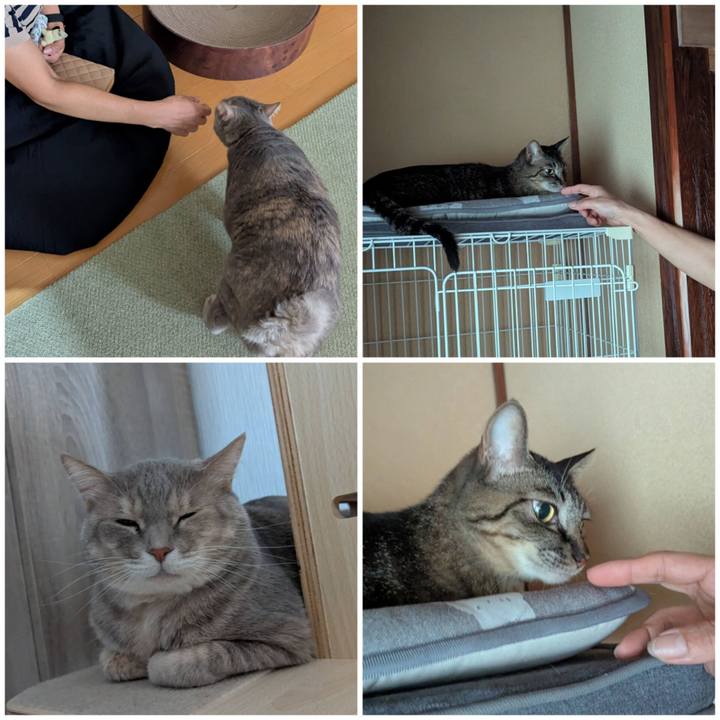 F232231a 4bbc 4055 9691 7a86ed5afb88 1756362180170