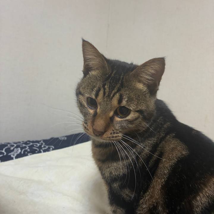 F2323025 c2d2 4edc 9515 ced1779f9450 1766181379826