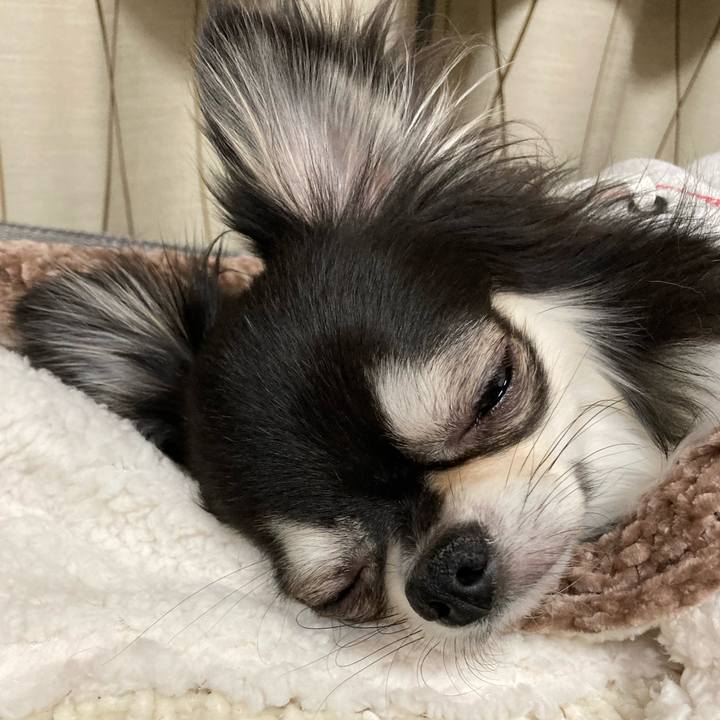 F2323ff7 e78b 4134 be5f 0c36977de3c7 1644760045843