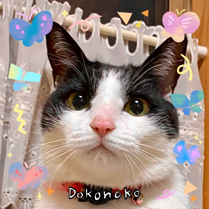 F2326803 9317 4708 b0fd 4236de273eb1 1711414890316