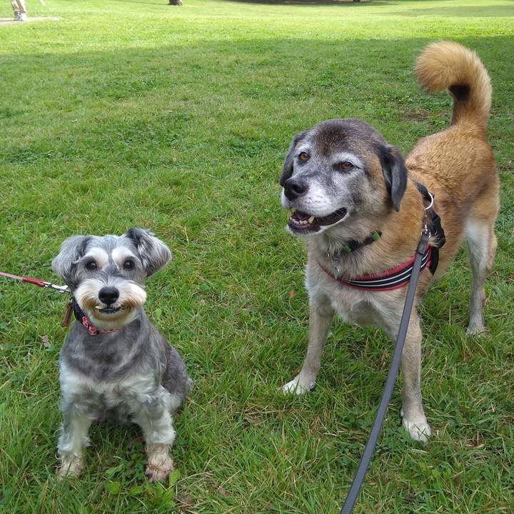 F232761f 377a 4e24 92b8 81283efbfa04 1570064193775