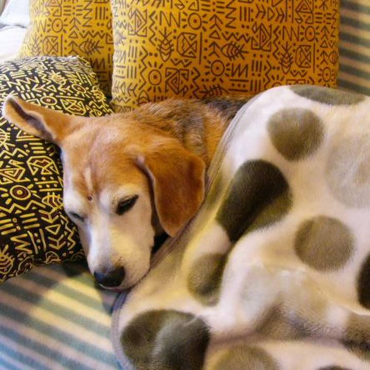 F2327cc2 85a3 420c b799 b0aa23e34197 1657236287988