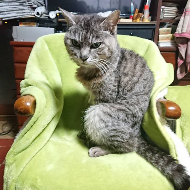 F2327e04 5c26 4a0e b6b3 009de2808ac1 1588277446596