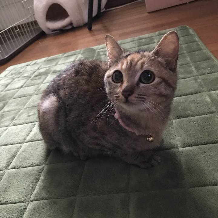 F232d457 0200 4f6f 8803 588617f9e1d5 1544769498930