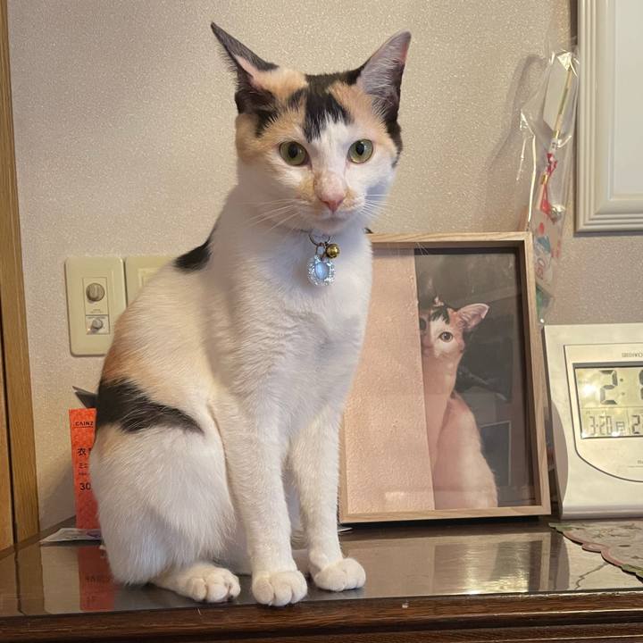 F2333867 c63c 4967 8b62 ec53f0e3f3e4 1679289493131