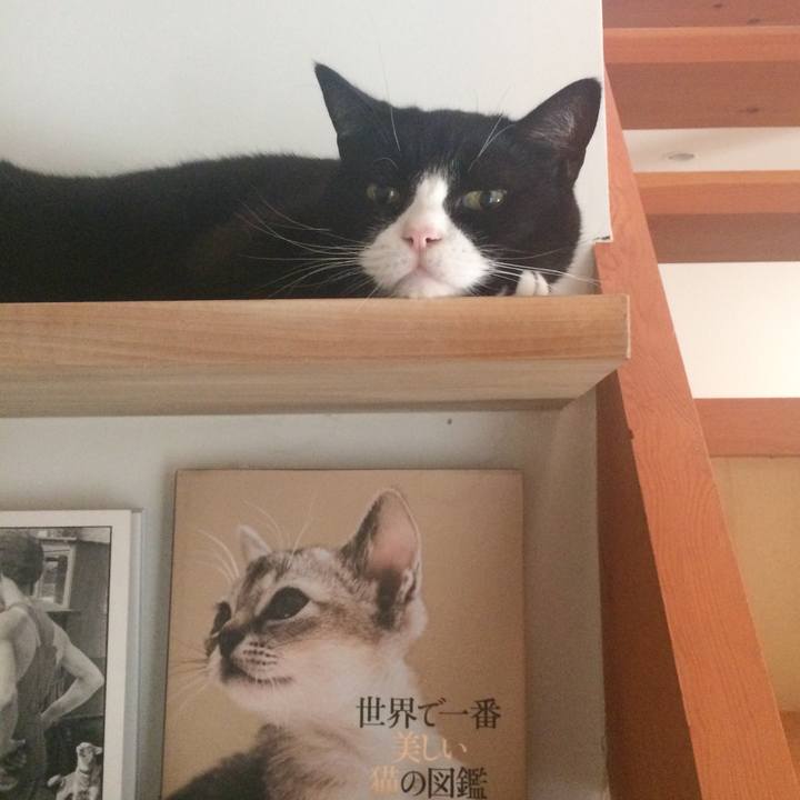 F2338729 503f 4304 8929 e0dbf001e1d1 1536364084107