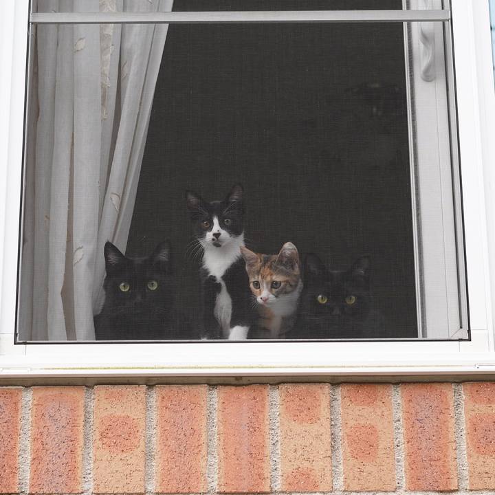 F233880e b023 4790 b6f8 57170ddf9ada 1570057187427