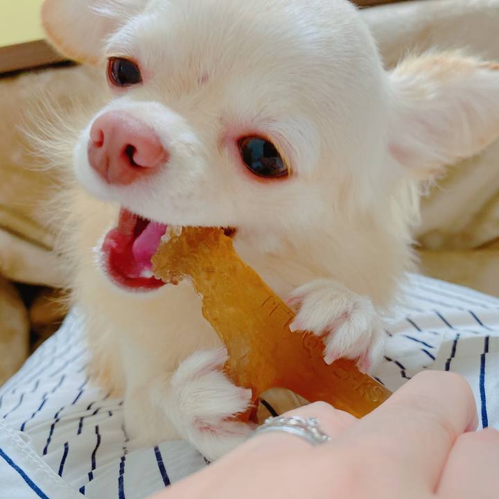 F233b56a fe8f 4484 b7ab d0de9e6d391b 1636592361129