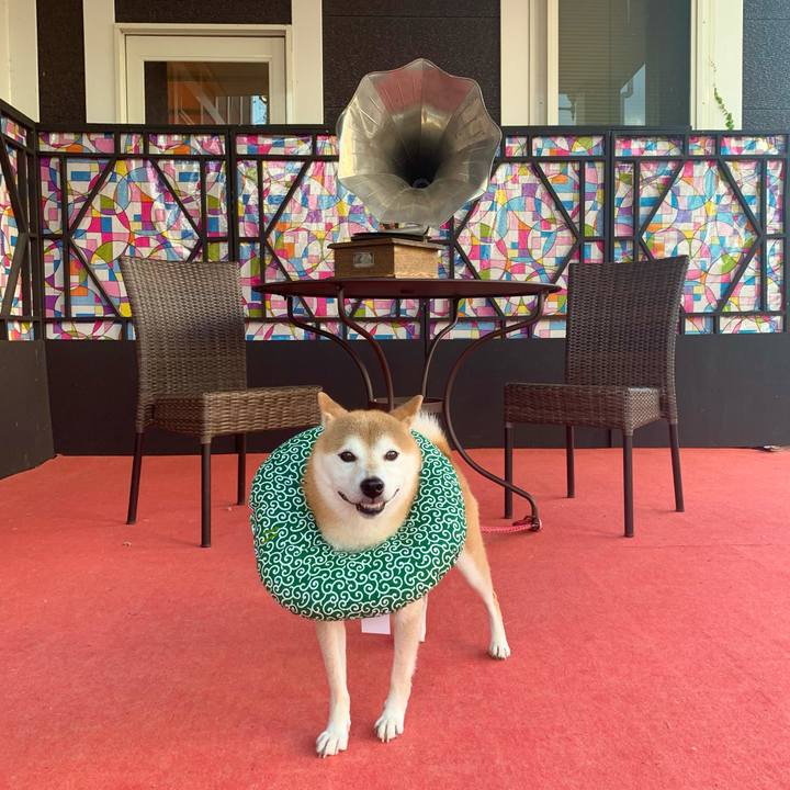 F233fe1d 3d80 4914 bbfa 6f4e44f80467 1633599684796