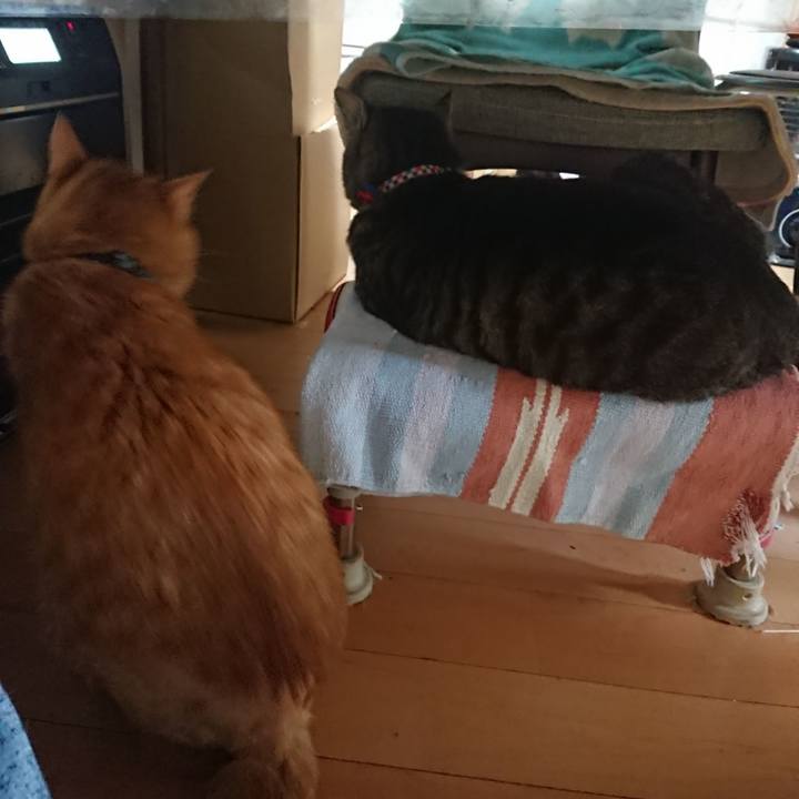 F2342dc5 b8fe 493a 8820 8e346dc6a558 1654638875759