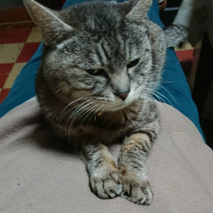 F23435d3 44a1 4c35 8965 1cd42d25f3ec 1551956682018