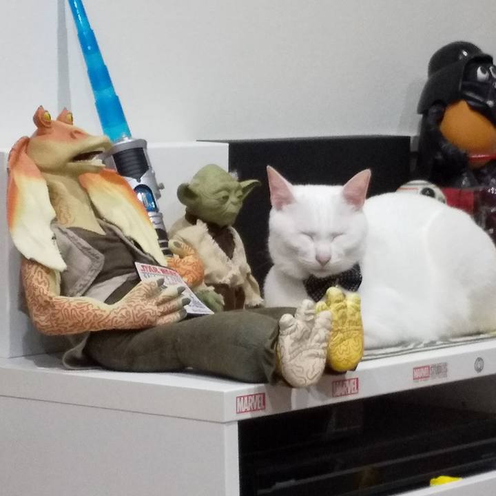 F2344e97 079d 4360 9dbd 0cd0141633cc 1596892570969