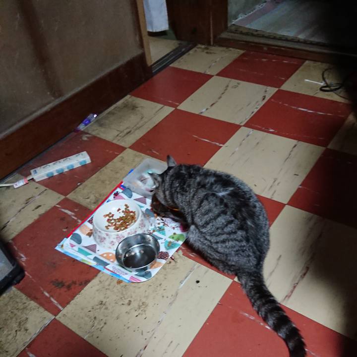 F23475cb 14cb 4199 8087 e787bc06d7f8 1588624731143