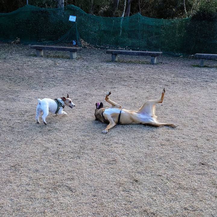 F23494b8 230a 4b8f ad15 815ec77b5714 1703382606145