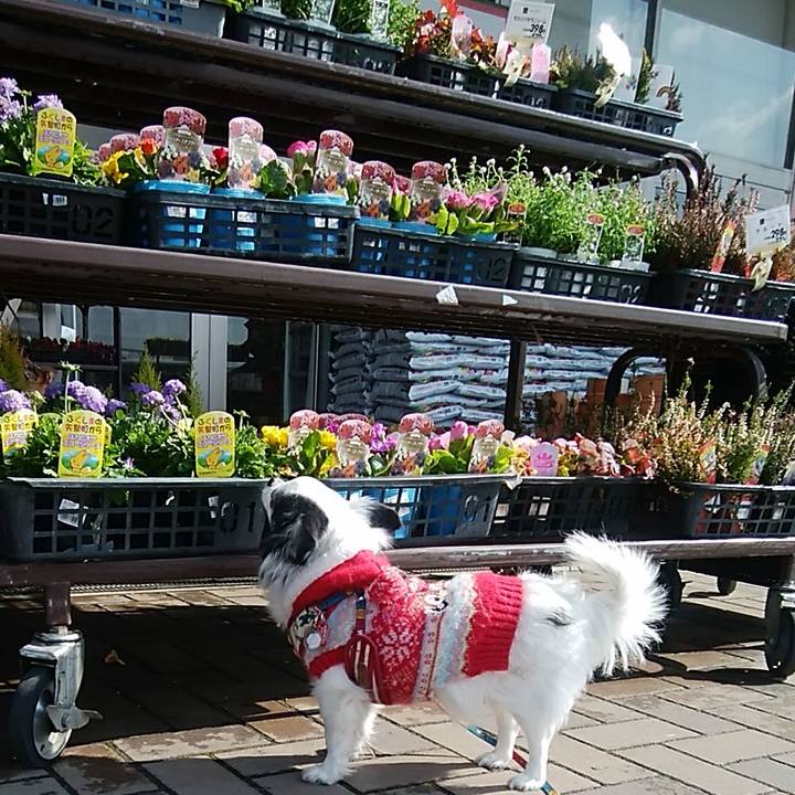 F234f36e e1c8 4e04 a4f6 cade6823c99e 1517729836411