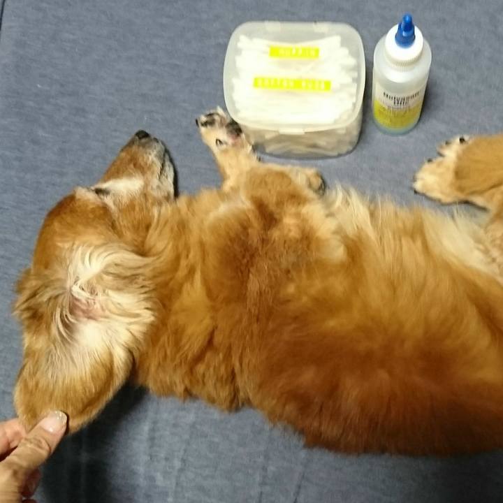 F234f496 0b48 46bd 9d54 fc6576eba87d 1510820102948