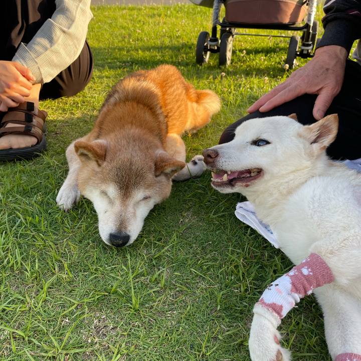 F2350116 379e 4a7f 85b4 59c8ff29d7fa 1685068796945