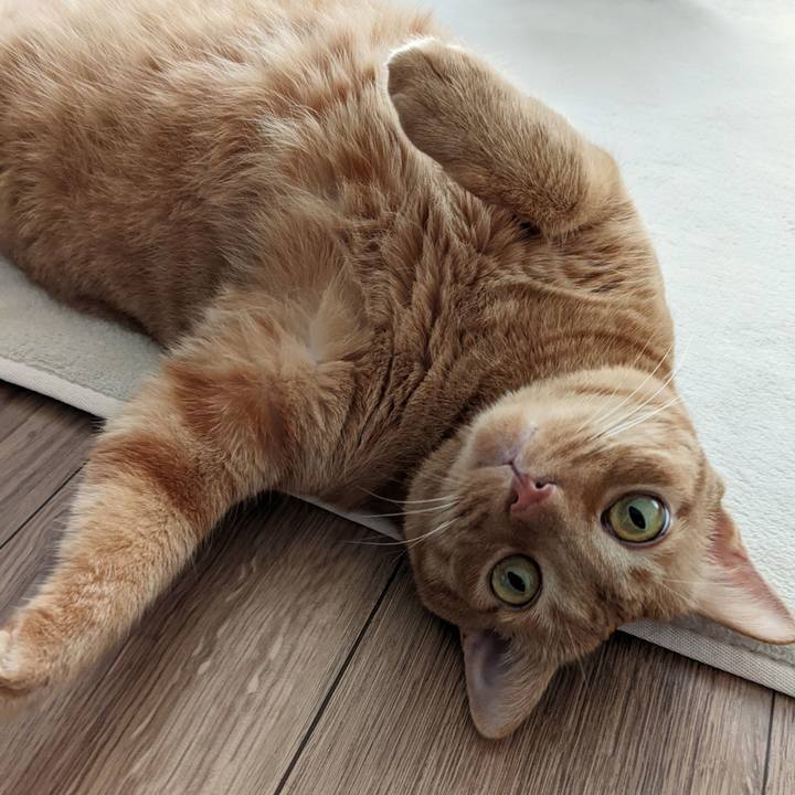 F23503b4 fc79 485a 8080 5b1681d1ddba 1654931413845