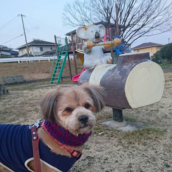 F2351fbf 8d34 49f4 a9b0 fbf7908d2aae 1518045368556