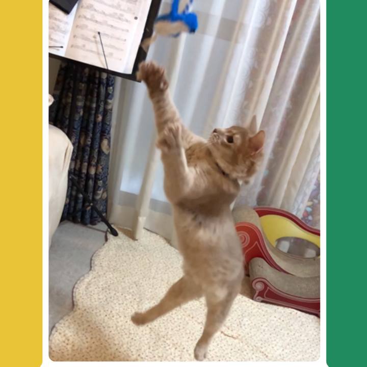 F2352918 e576 452d 89fa 34200964ff2e 1557801891964