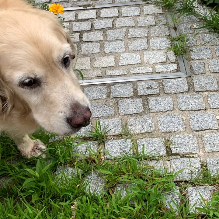 F2352a7c ab14 44f8 bc07 445f736b5e04 1564268965946