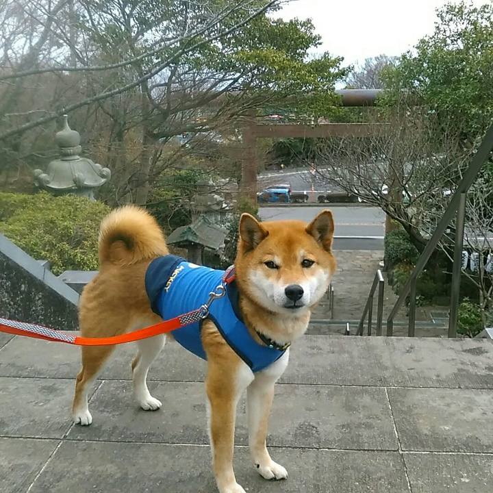 F2353e1c e0be 4f20 b902 f6c4fb1476bc 1552214086393